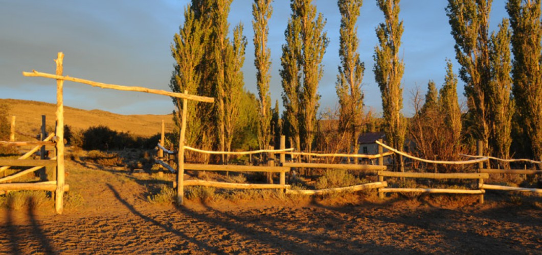 Patagonie (04)